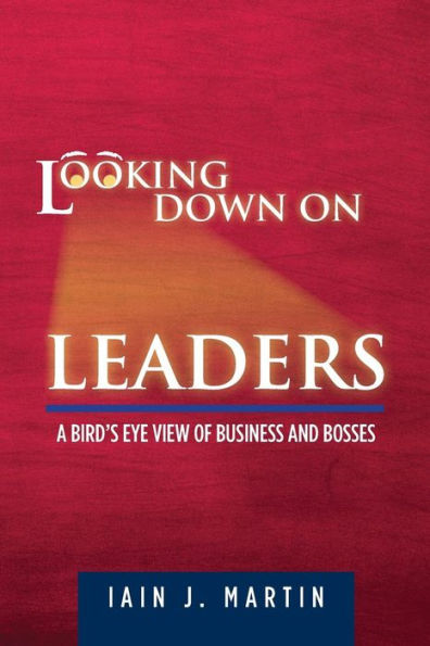 Looking Down On Leaders: a bird's eye view of business and bosses