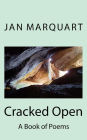 Cracked Open: A Book of Poems