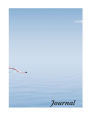 Summer Journal