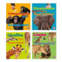 Awesome African Animals