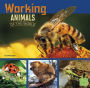 Working Animals of the World