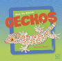 Get to Know Geckos