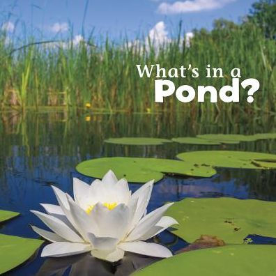 What's in a Pond?