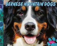 Title: Bernese Mountain Dogs, Author: Allan Morey