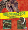 Velociraptor and Other Raptors: The Need-to-Know Facts