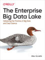 The Enterprise Big Data Lake: Delivering the Promise of Big Data and Data Science