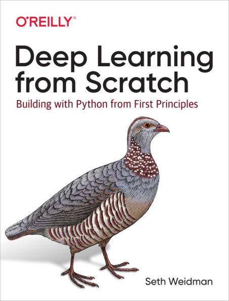 Deep Learning from Scratch: Building with Python from First Principles