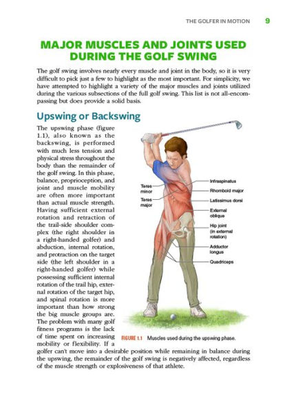 Golf Anatomy