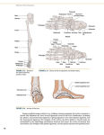 Alternative view 2 of Dynamic Human Anatomy