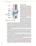 Alternative view 4 of Dynamic Human Anatomy