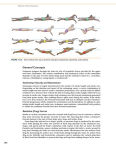 Alternative view 5 of Dynamic Human Anatomy