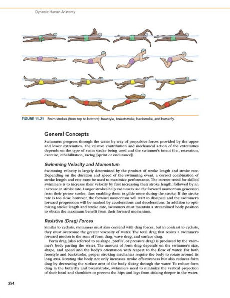 Dynamic Human Anatomy
