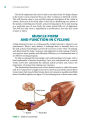 Alternative view 2 of Cycling Anatomy