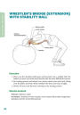 Alternative view 3 of Cycling Anatomy