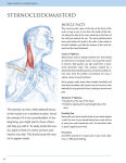 Alternative view 2 of Prescriptive Stretching