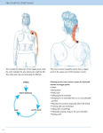 Alternative view 3 of Prescriptive Stretching