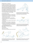 Alternative view 5 of Prescriptive Stretching