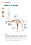 Alternative view 2 of Triathlon Anatomy