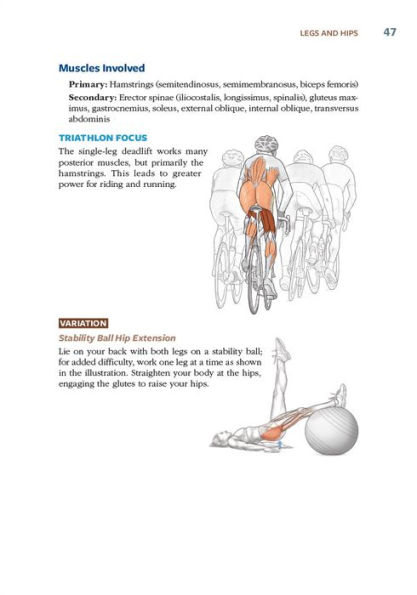 Triathlon Anatomy