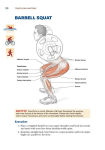 Alternative view 4 of Triathlon Anatomy