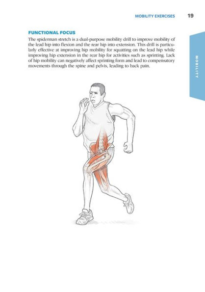 Functional Training Anatomy