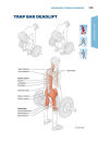 Alternative view 3 of Functional Training Anatomy