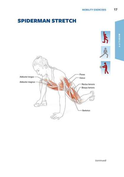 Functional Training Anatomy