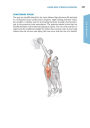 Alternative view 7 of Functional Training Anatomy