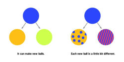 Alternative view 4 of Evolution for Babies