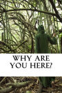 Why Are You Here?