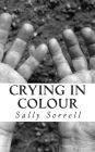 Crying in Colour: A Nonsense Novella