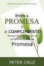Entre la promesa y el cumplimiento: Porque Dios demora en el cumplimiento de una promesa