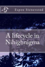 A lifecycle in Nihighnigma