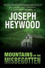 Mountains of the Misbegotten: A Lute Bapcat Mystery