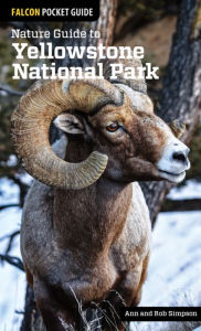 Title: Nature Guide to Yellowstone National Park, Author: Ann Simpson
