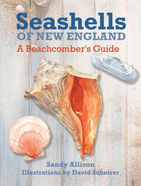 Seashells of New England: A Beachcomber's Guide