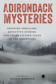 Title: Adirondack Mysteries: Gripping Thrillers, Detective Stories, and Crime Fiction Tales in the Mountains, Author: Dennis Webster