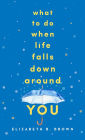 What to Do When Life Falls Down Around You