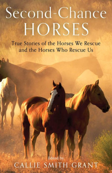 Second-Chance Horses: True Stories of the Horses We Rescue and the Horses Who Rescue Us