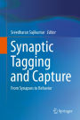 Synaptic Tagging and Capture: From Synapses to Behavior
