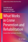 What Works in Crime Prevention and Rehabilitation: Lessons from Systematic Reviews