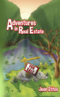 Adventures in Real Estate