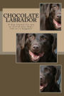 Chocolate Labrador: A dog journal for you to record your dog's life as it happens!