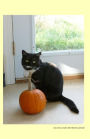 Cat with pumpkin 2014 Weekly Calendar: A week by week calendar with a cover photo of Bethany a black and white cat and an orange pumpkin from Ralphie's Retreat -A pawsitive alternative for cats with