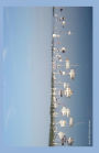 Boats 2014 Weekly Calender: 2014 week by week calendar with a photo of sailboats reflected in still water