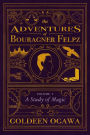 The Adventures of Bouragner Felpz, Volume I: A Study of Magic