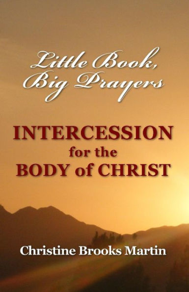 Little Book, Big Prayers: Intercession for the Body of Christ