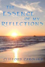 The Essence of My Reflections