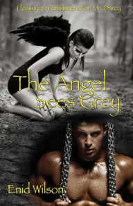 Title: The Angel Sees Grey: Pleasure & Punishment for Mr. Darcy, Author: Enid Wilson