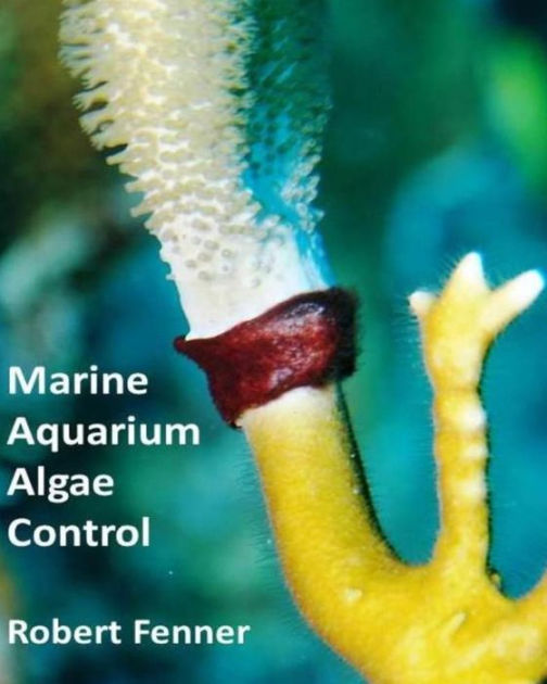 Marine Aquarium Algae Control The Ins and Outputs of Algal